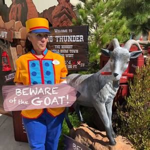 Meet your Posher, Anne